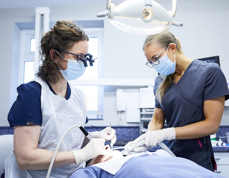 Dental Nurses